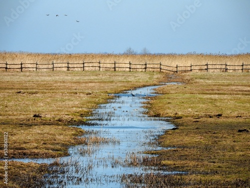 Scenic shot of the Beka nature reserve in Baltic coast, Poland