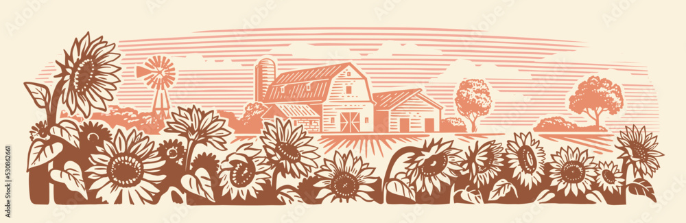Sunflower in village sketch. Farm landscape