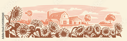 Sunflower in village sketch. Farm landscape