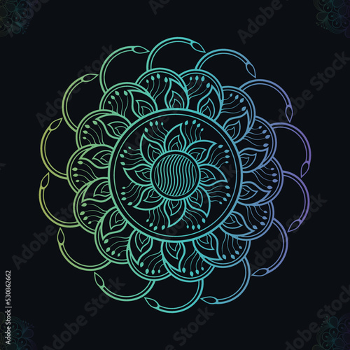 Decorative round mandalas ornaments. Anti-stress therapy patterns. Weave design elements and Unusual flower shape backgrounds.  Oriental snowflakes vector