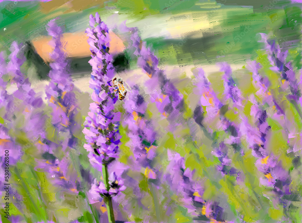 Obraz premium Violet lavender bush blooming in field. Oil painting