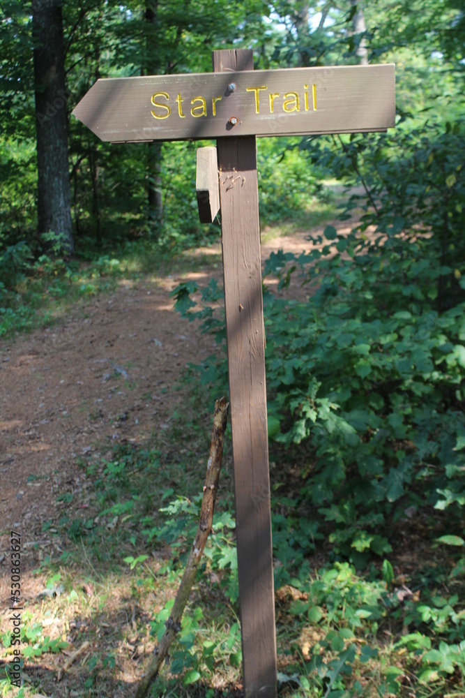 sign in the forest