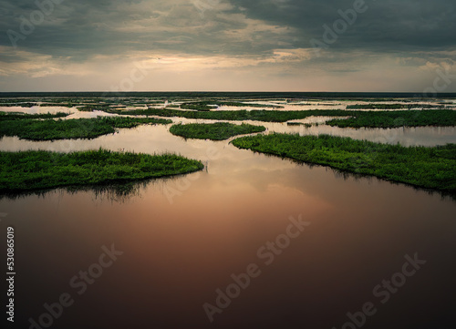 swamp horizon with plants and atmospheric clouds