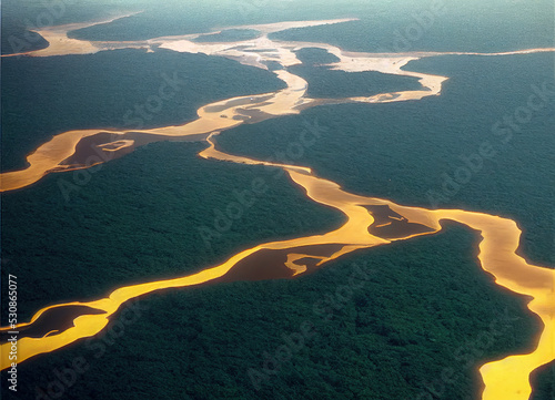 Amazon river as seen from the air