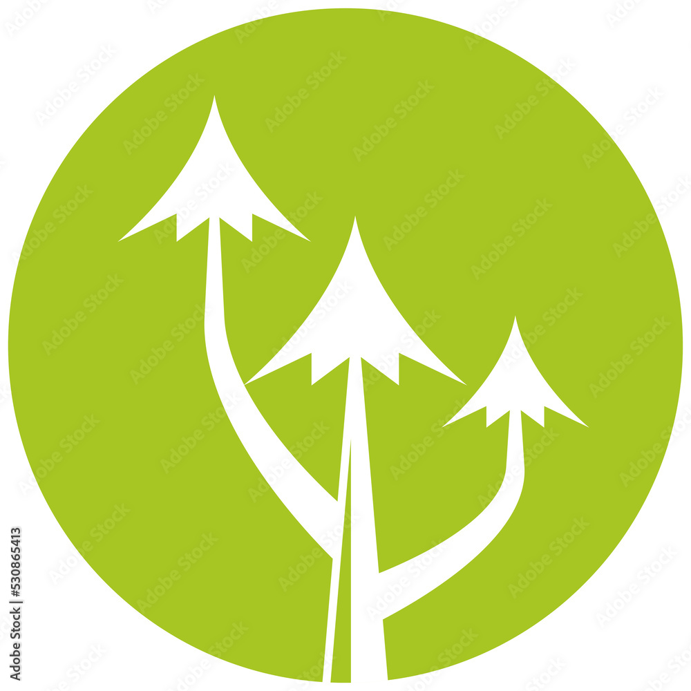 Obraz premium pine tree in green circle illustration