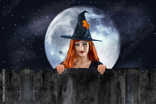 Fotografie, Tablou Halloween Witch peeking out behind a fence or wooden wall