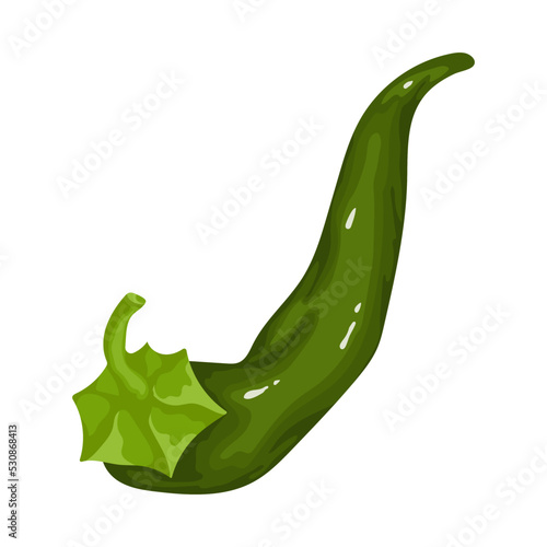 Pod of green hot chili pepper.Cartoon vector graphic.