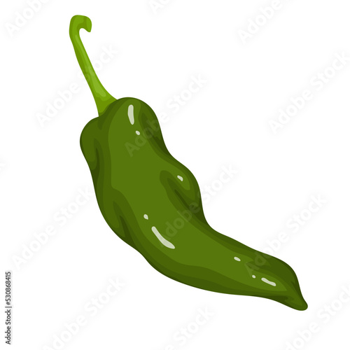 Pod of green hot chili pepper.Cartoon vector graphic.