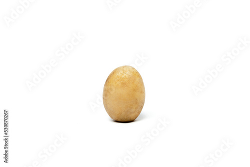Jeden ziemniak polny na białym tle
