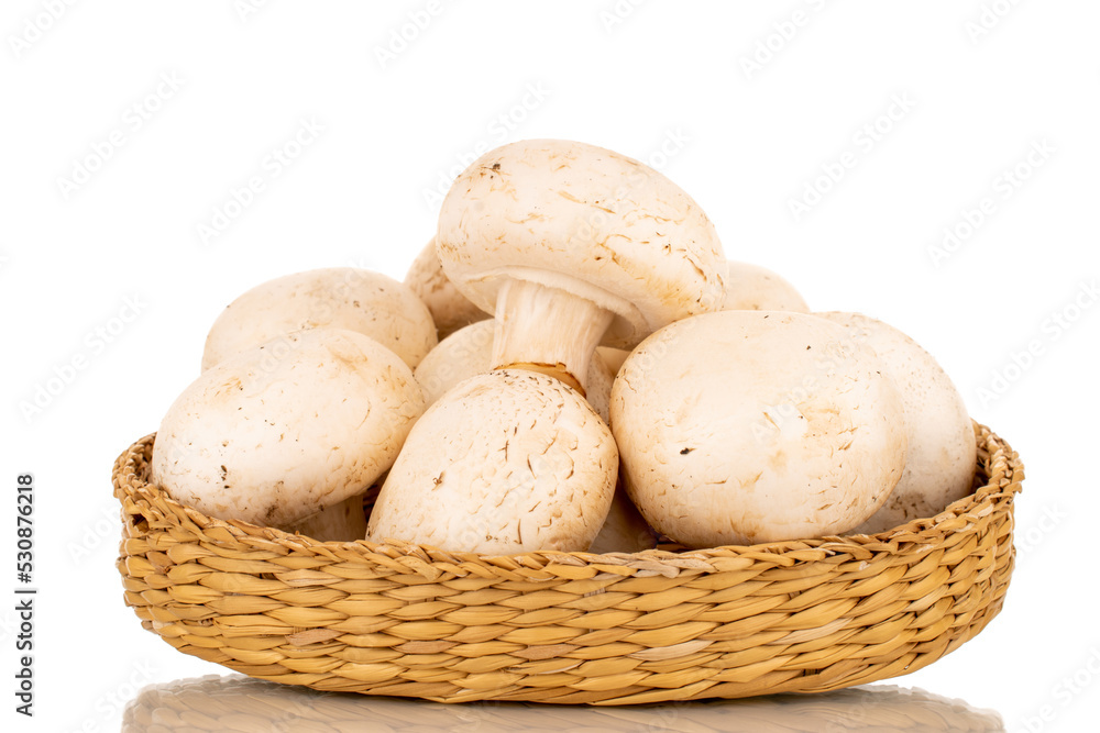 A few fresh mushrooms in a straw plate, close-up, isolated on a white background. A few fresh mushrooms in a straw plate, close-up, isolated on a white background.