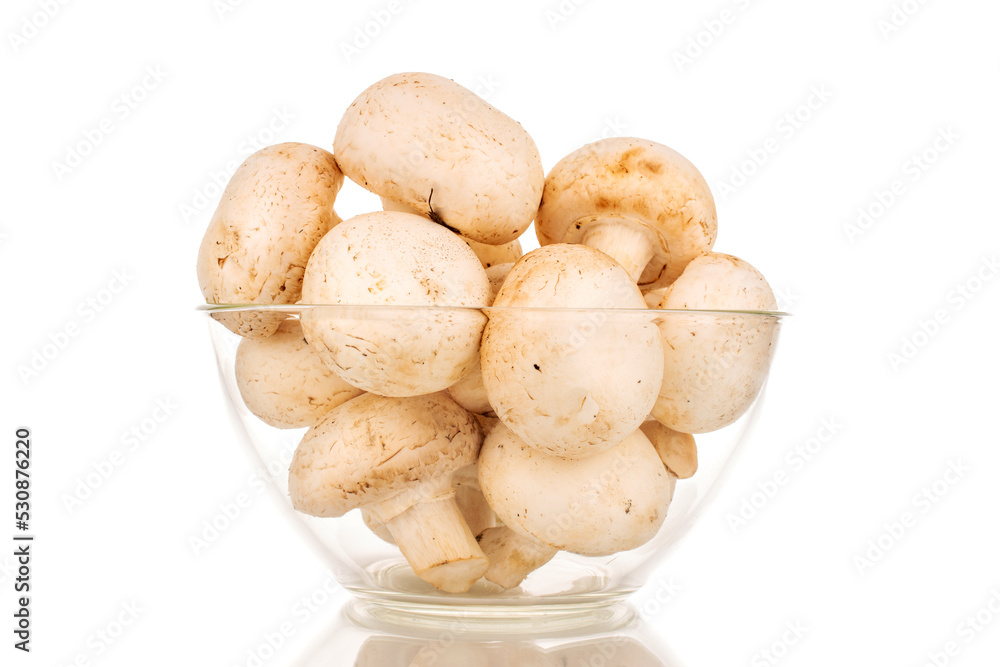 A few fresh mushrooms in a glass plate, close-up, isolated on a white background. A few fresh mushrooms in a glass plate, close-up, isolated on a white background.