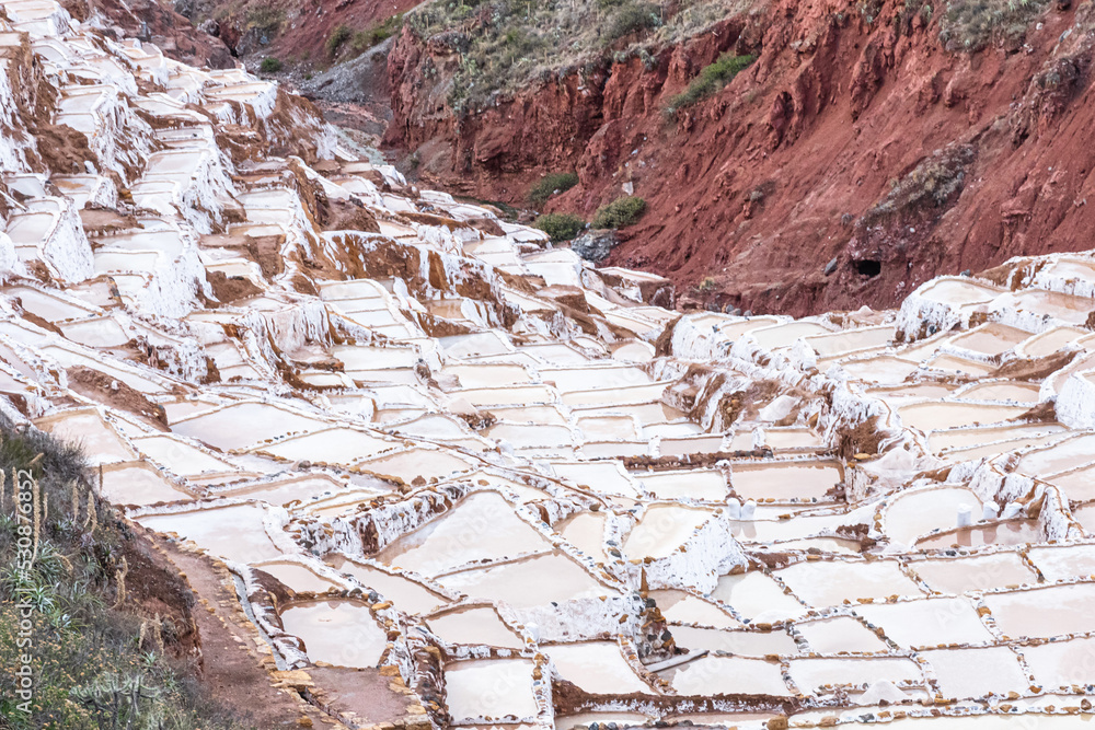 Maras
