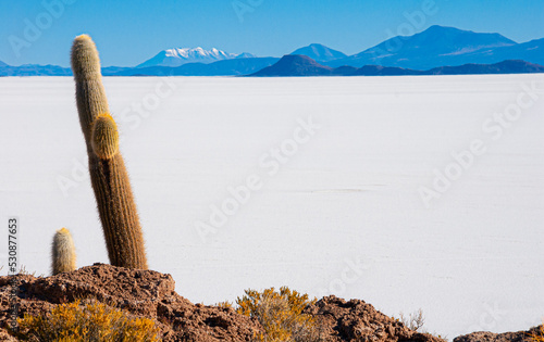 salar de uyuni in the bolivian altiplano photo