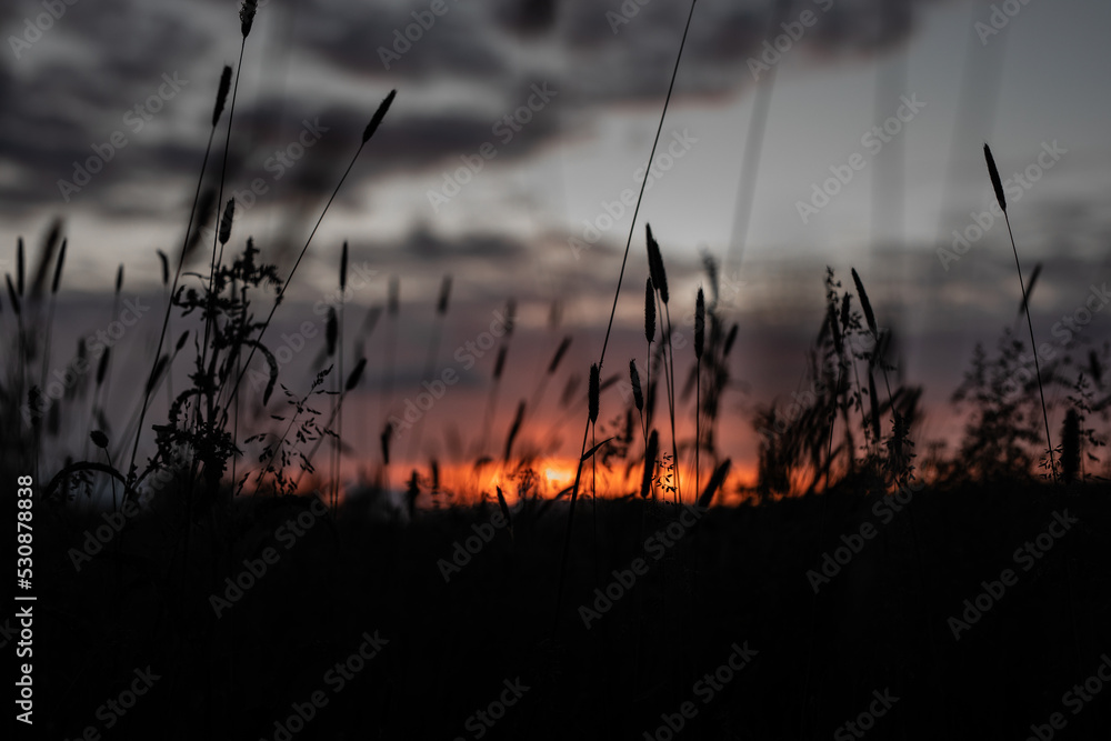 Obraz premium Sonnenuntergang im Feld
