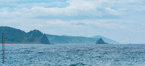 seascape with distant wooded shore with volcanic rocks  Kunashir island