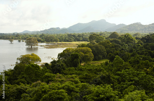 Landscape of Kandalama Lake, Dambulla, Sri Lanka.