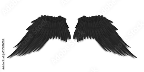 Black bird or dark angel wings with realistic feathers from back view isolated.  illustration of two big spread wings.