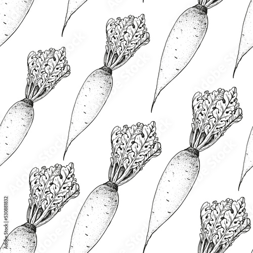 Daikon radish seamless pattern. Hand drawn background. Vector illustration. Hand drawing sketch illustration. Daikon vegetable hand drawn backdrop.