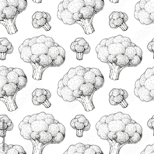 Broccoli cabbage seamless pattern. Hand drawn background. Vector illustration. Hand drawing sketch illustration. Broccoli cabbage vegetable hand drawn backdrop.