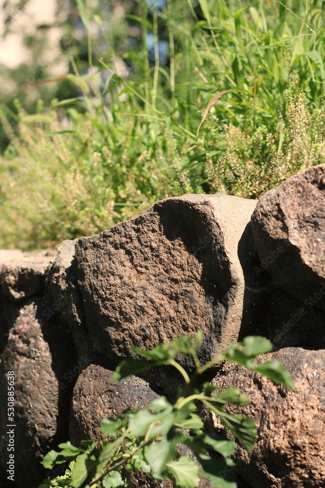 Fototapeta premium stones in the grass