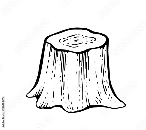 Simple Wooden stump. Remaining tree with roots. Forest or garden plant. Hand drawn outline sketch. Isolated on white background. Vector.
