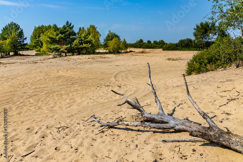 Sand dune Wydma Pekatka with scarce vegetation overlooking Bagno Calowanie Swamp wildlife reserve in Podblel village south of Warsaw in Mazovia region of Poland