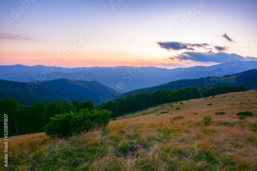 mountain landscape at dusk. beautiful nature scenery of carpathians. grassy meadows an forested hill in blue hour light