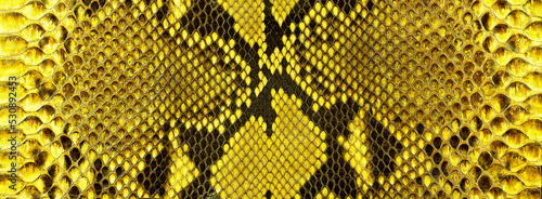 Texture of yellow snake skin. Leather surface with python skin texture.