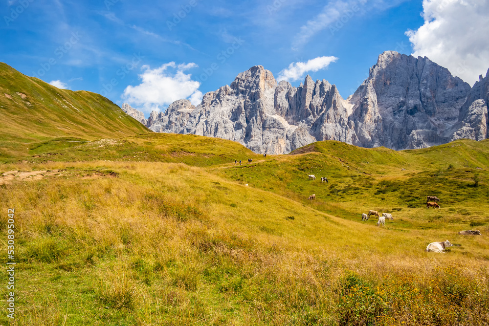 Mountain panorama in San Martino di Castrozza, Trentino Alto Adige, Italy