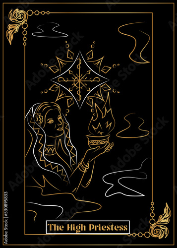 the illustration - card for tarot - The High Priestess.
