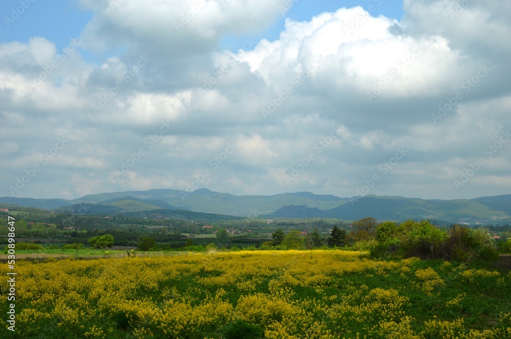 spring landscape of cultivated fields