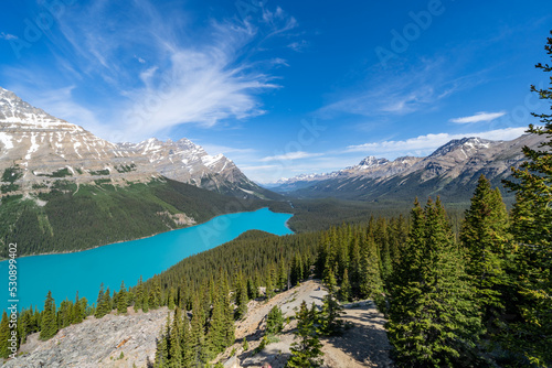 Beautiful Peyto Lake in Banff National Park along the Icefields Parkway in Alberta, Canada