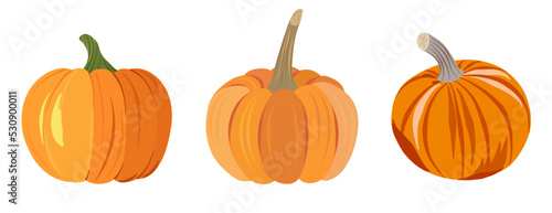 Set of colorful vegetables. Different varieties of pumpkin. Yellow, orange ripe pumpkins with green stems. Cartoon flat style for banner design, print, menu. Symbol of delicious healthy food. Vector