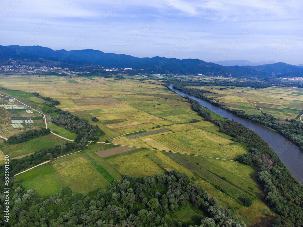 Aerial View of green and yellow agricultural fields, plains with a river in the middle, mountains and cloudy sky in the background, Aerial view of bright river flowing through green meadows, Algeria