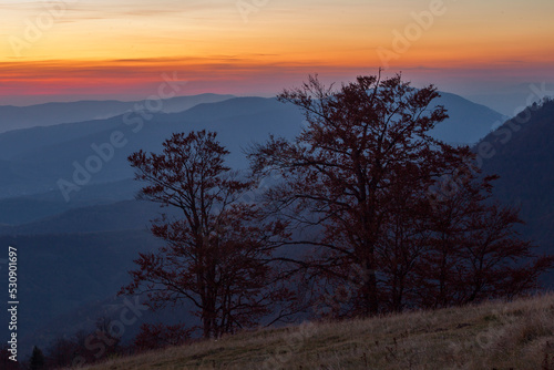 Autumn landscape in the Carpathian mountains with winged beeches and dusk on the horizon. Magical twilight in the mountains in the middle of the autumn forest.