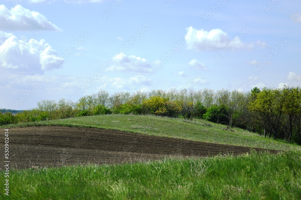 cultivated land in the plain