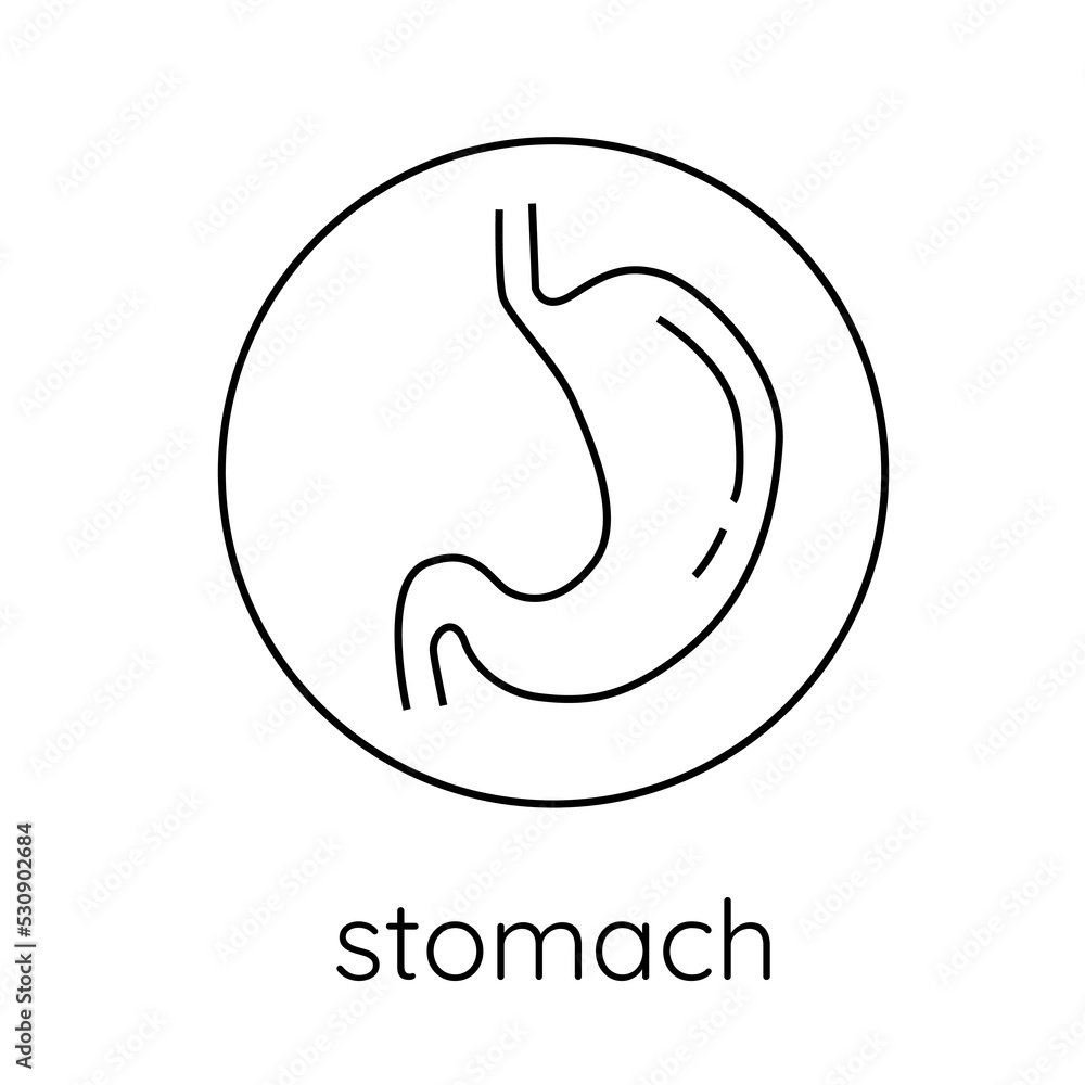 Fototapeta premium icon stomach