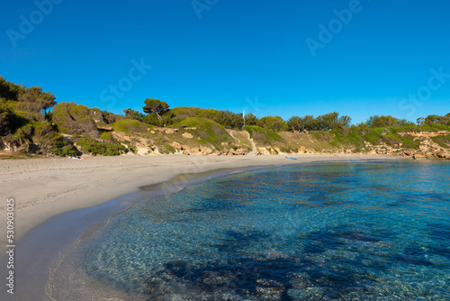 Playa de Mallorca de aguas cristalinas. Playa del Malpás (Alcudia), una cala tranquila de agua color turquesa en el norte de la isla de Mallorca.