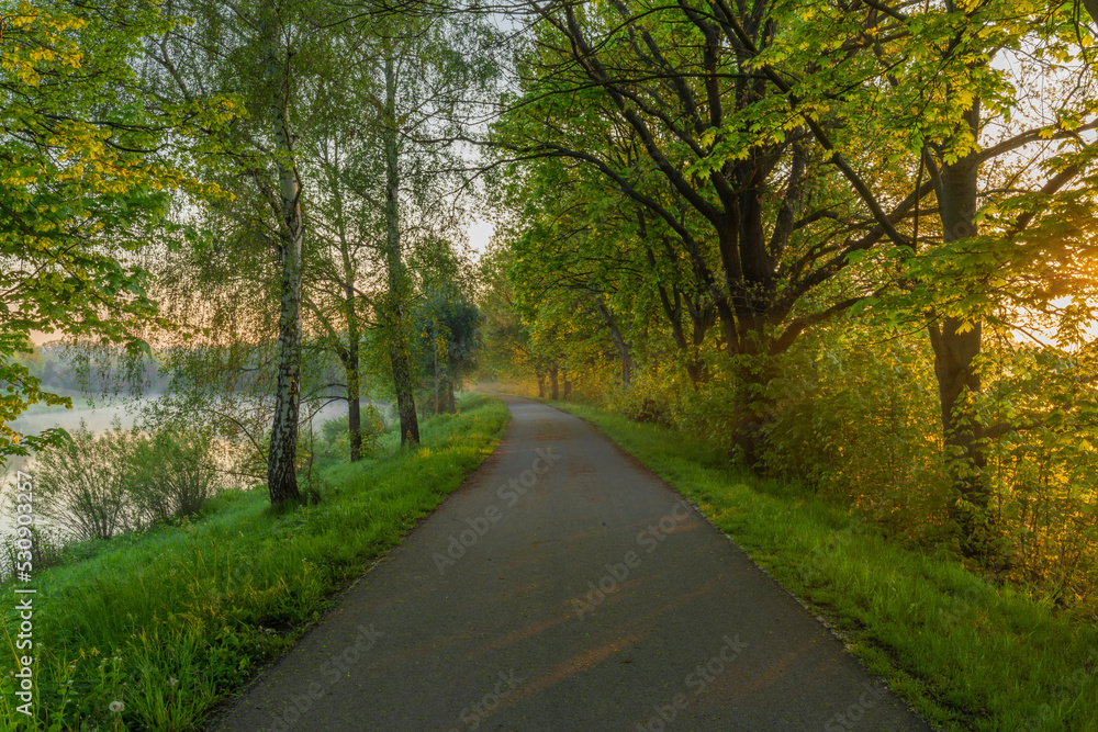 Asphalt path for bikes near Ceske Budejovice city in spring fresh morning Asphalt path for bikes near Ceske Budejovice city in spring fresh morning