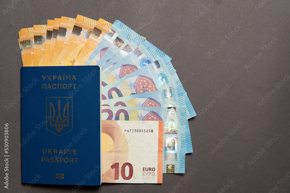 Fototapeta premium Euro money and a Ukrainian passport