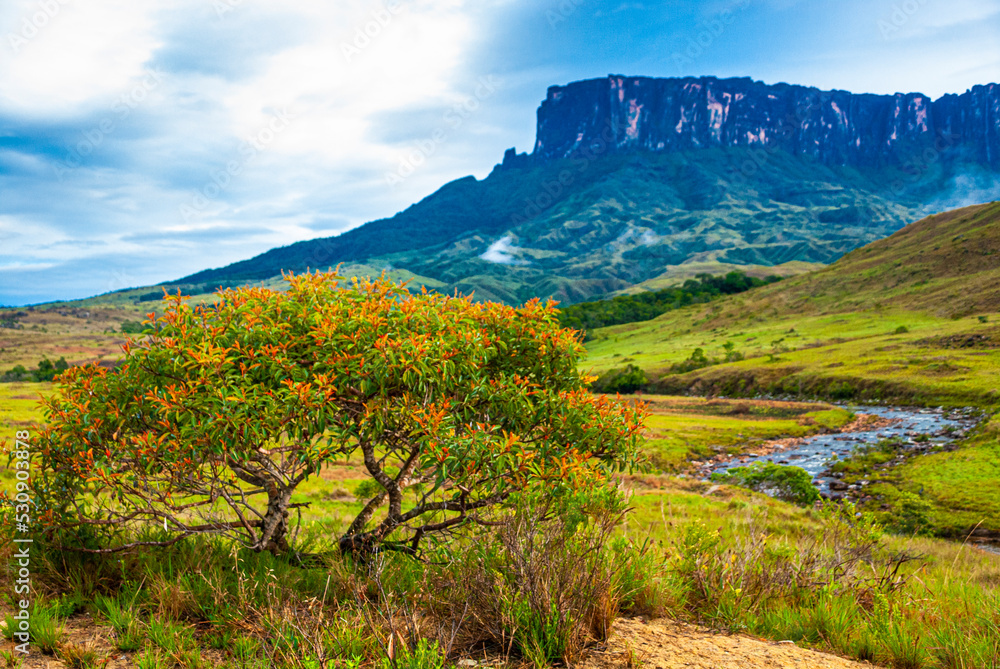 Expedition to Mount Roraima, approaching the mountain, Venezuela