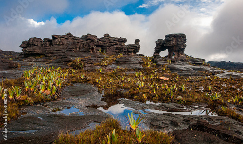 Expedition to Mount Roraima, approaching the mountain, Venezuela