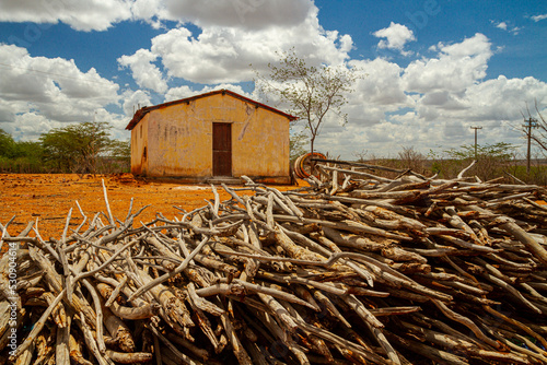 House in a landscapes of caatinga and brazilian wild - paraíba, brazil