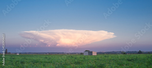 Cumulonimbus capillatus cloud over tomato field photo