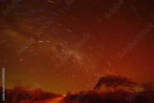 landscapes of caatinga and brazilian wild - paraíba, brazil