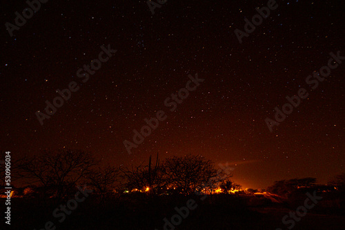 landscapes of caatinga and brazilian wild - paraíba, brazil