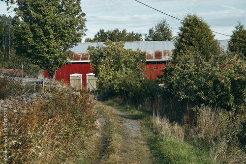 Ovrenvegen Road, a rural gravel road of Toten, Norway, in fall. photo