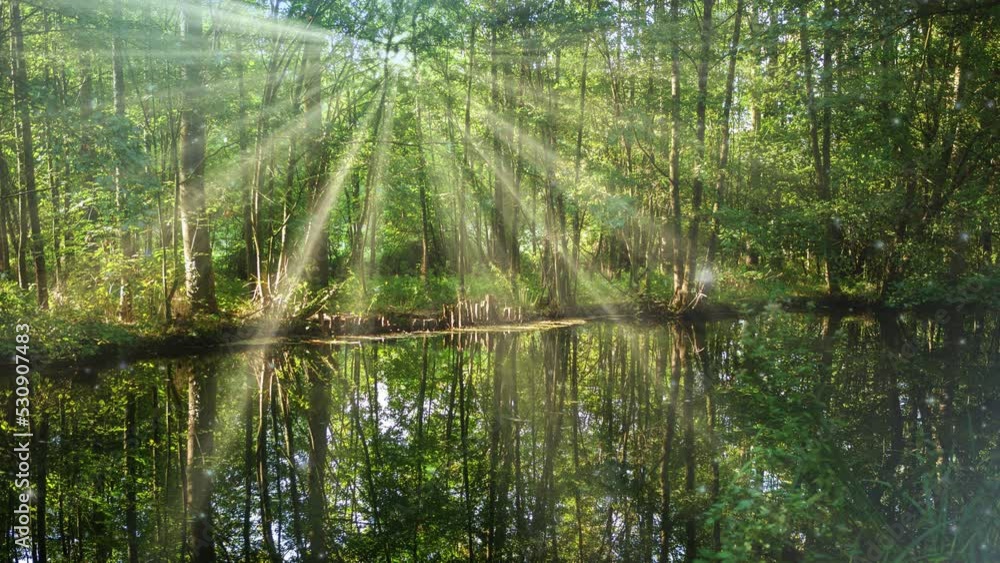 Cinemagraph of hidden river in green forest
Cinemagraph of hidden river in green forest
