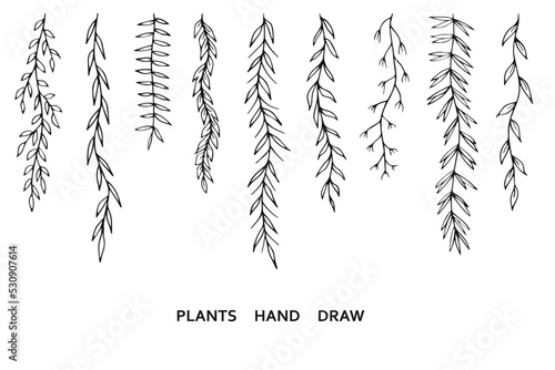 Fotografia, Obraz Leafs plants hand draw vector