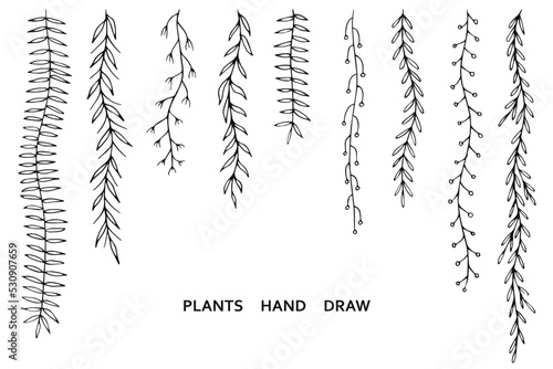 Leafs plants hand draw vector. Drawing beautiful creeper leaf, decorative set